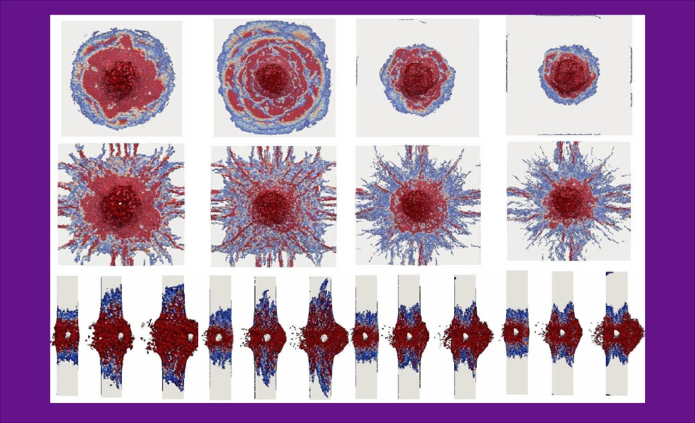 #htmlcaption6 LDPM SIMULATION